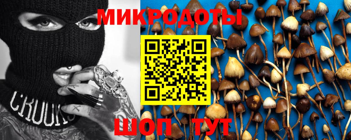 Кандалакша  Псилоцибиновые грибы Cubensis  Вход с VPN 